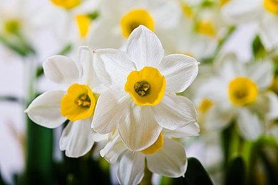 GamirrorGames将发行清版过关动作游戏《漫威宇宙入侵》